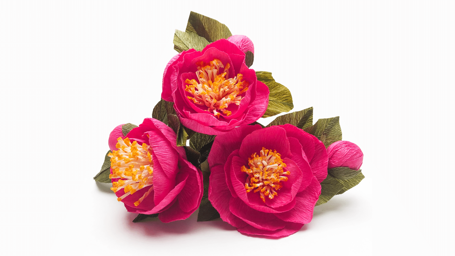 Untitled - 2024-07-02T153216.920